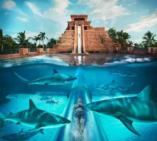 巴哈马群岛天堂岛的亚特兰蒂斯礁石酒店，玛雅寺庙主题滑梯
